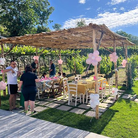 Il Vigneto Di Nonno Pietro Bed & Breakfast Agerola Bagian luar foto