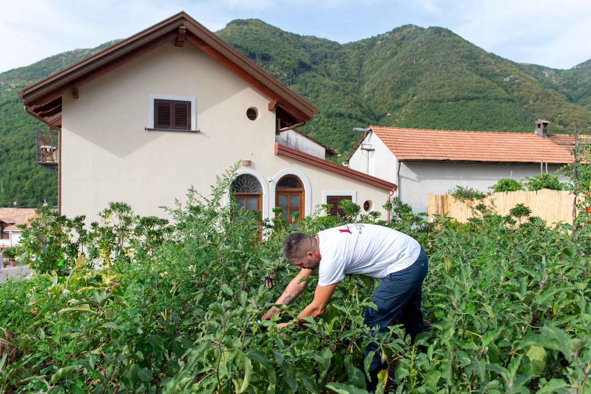 Il Vigneto Di Nonno Pietro Bed & Breakfast Agerola Bagian luar foto
