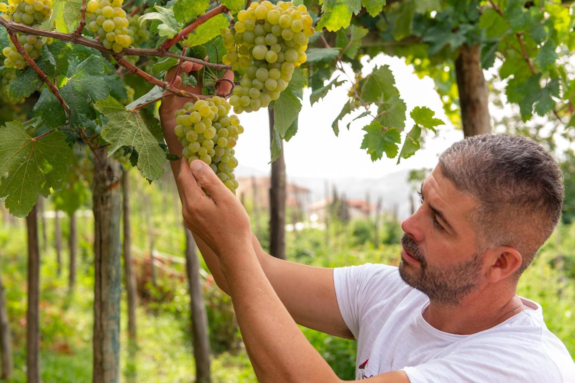 Il Vigneto Di Nonno Pietro Bed & Breakfast Agerola Bagian luar foto