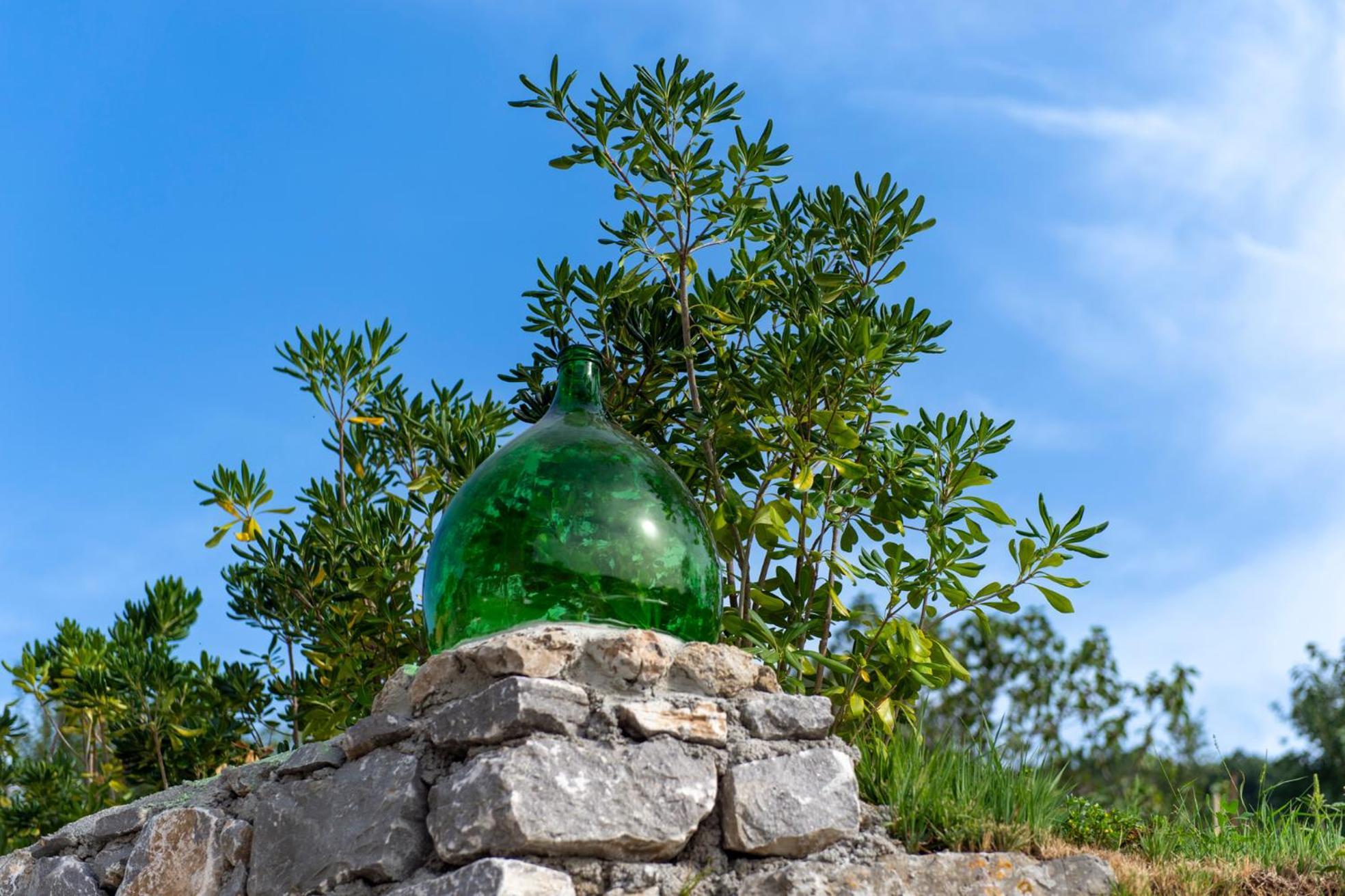 Il Vigneto Di Nonno Pietro Bed & Breakfast Agerola Bagian luar foto