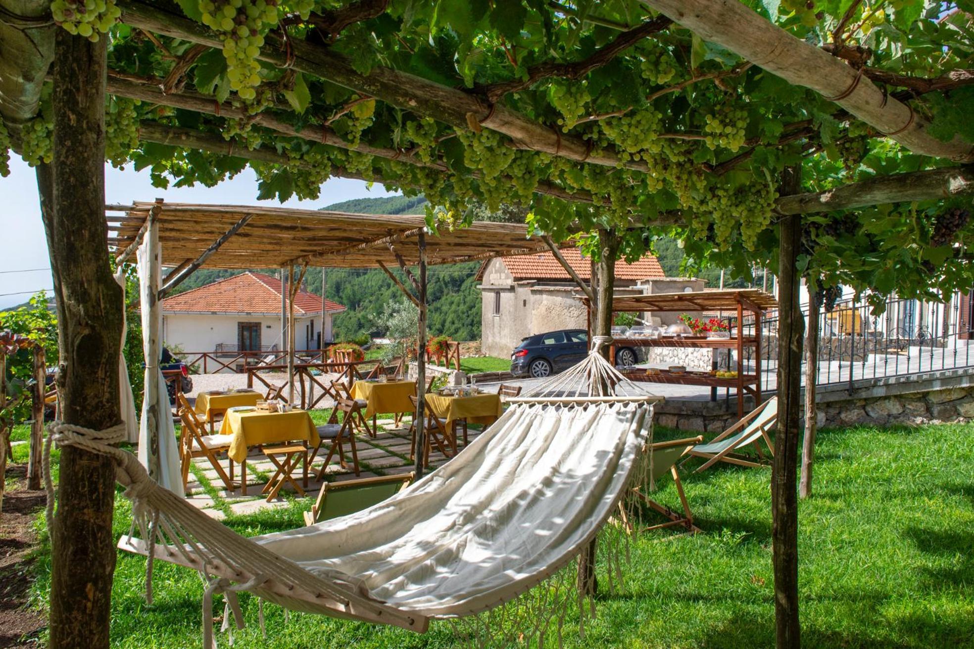 Il Vigneto Di Nonno Pietro Bed & Breakfast Agerola Bagian luar foto