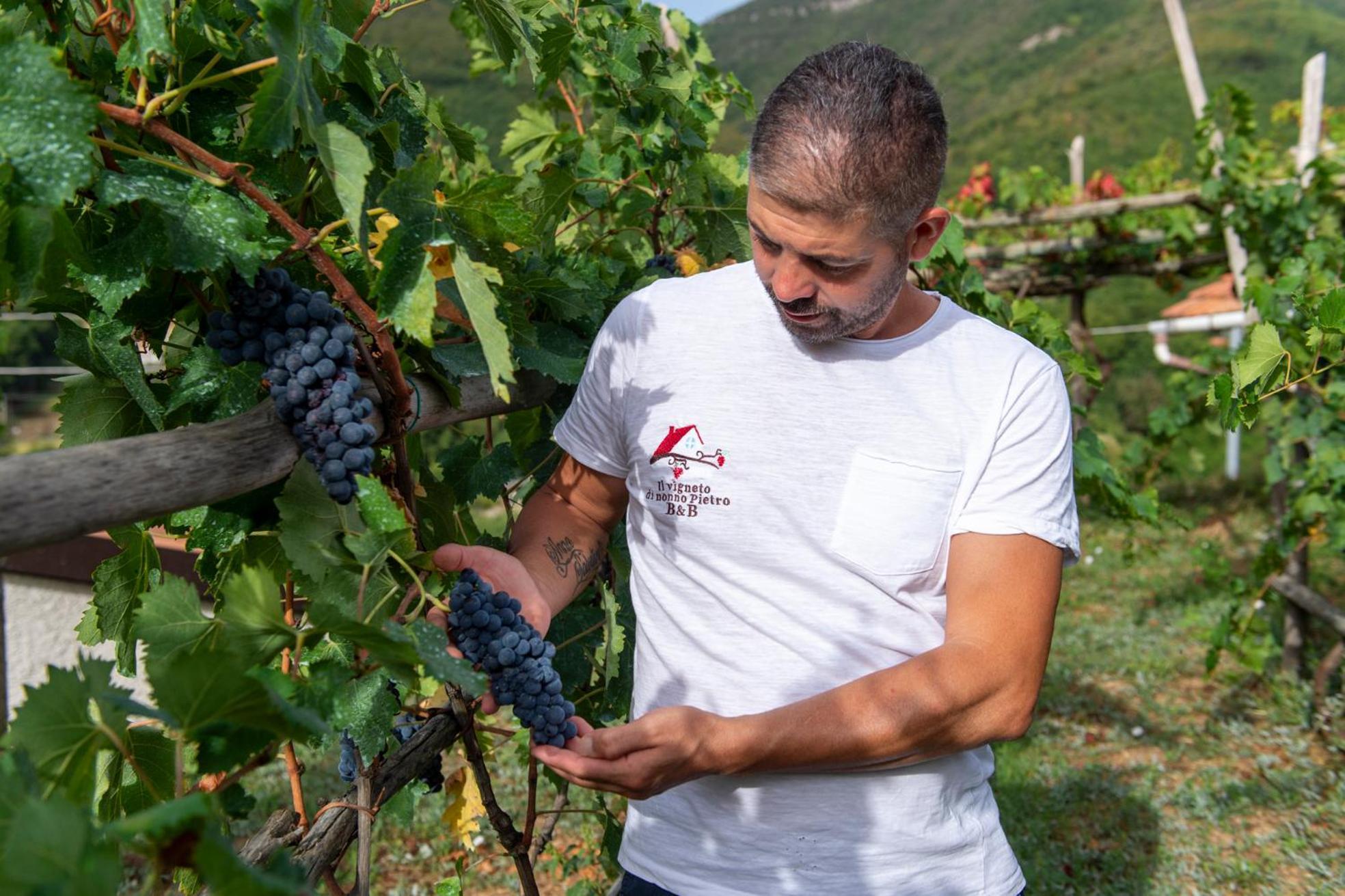 Il Vigneto Di Nonno Pietro Bed & Breakfast Agerola Bagian luar foto