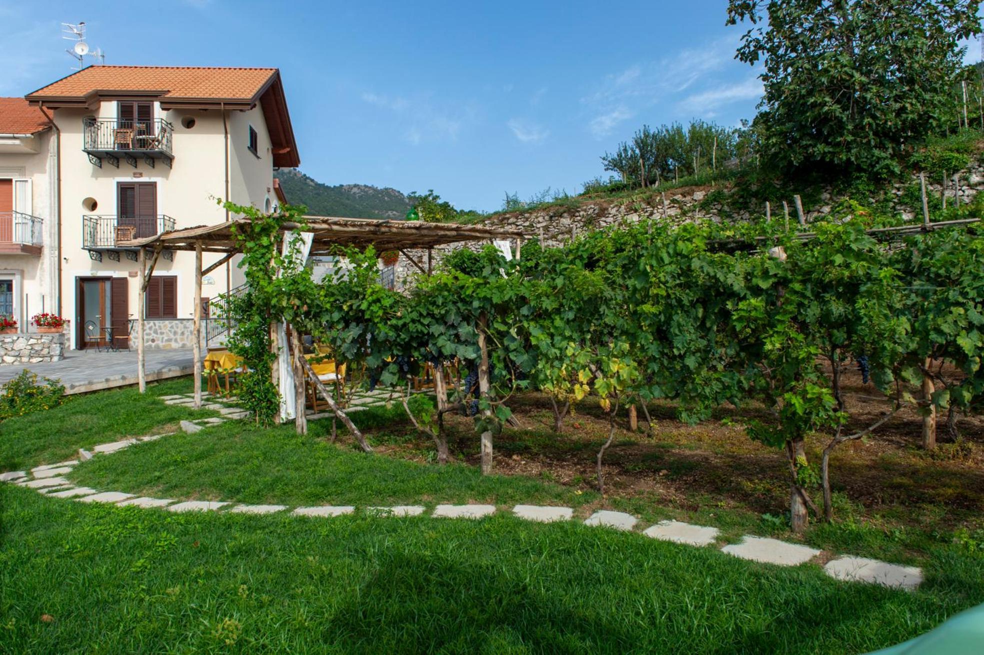Il Vigneto Di Nonno Pietro Bed & Breakfast Agerola Bagian luar foto