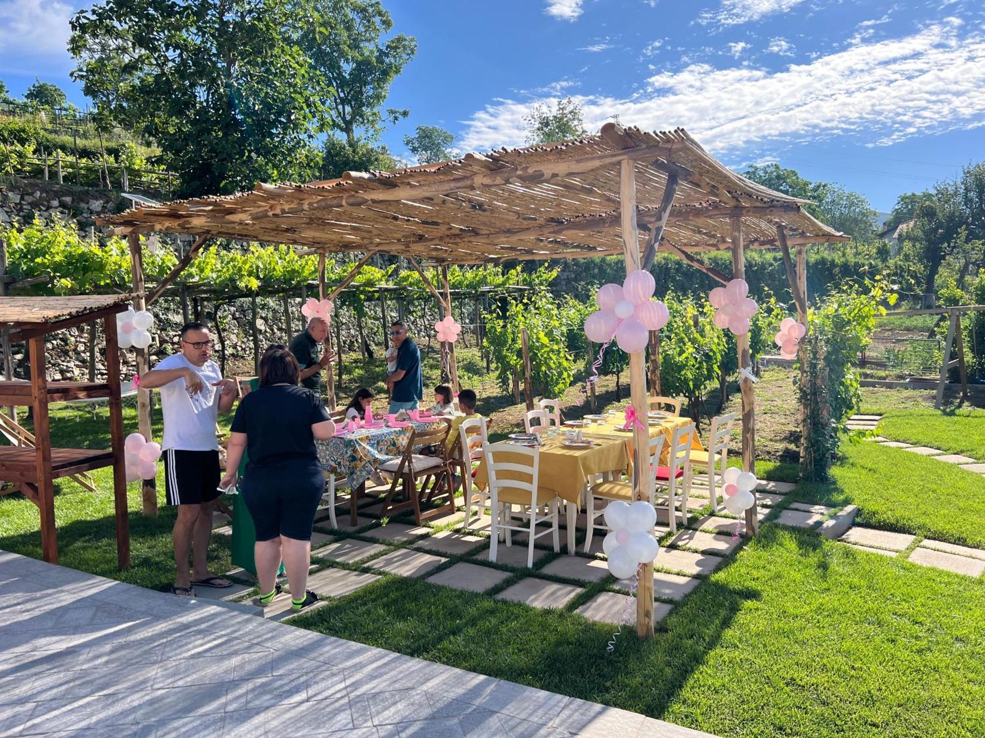 Il Vigneto Di Nonno Pietro Bed & Breakfast Agerola Bagian luar foto
